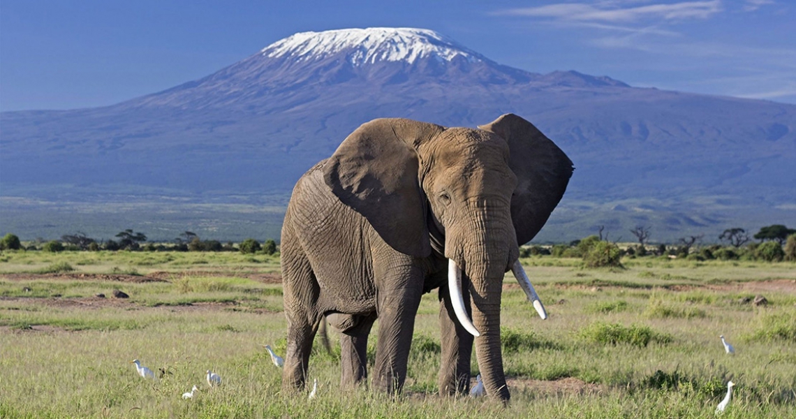 Amboseli National Park - Discover Kenya